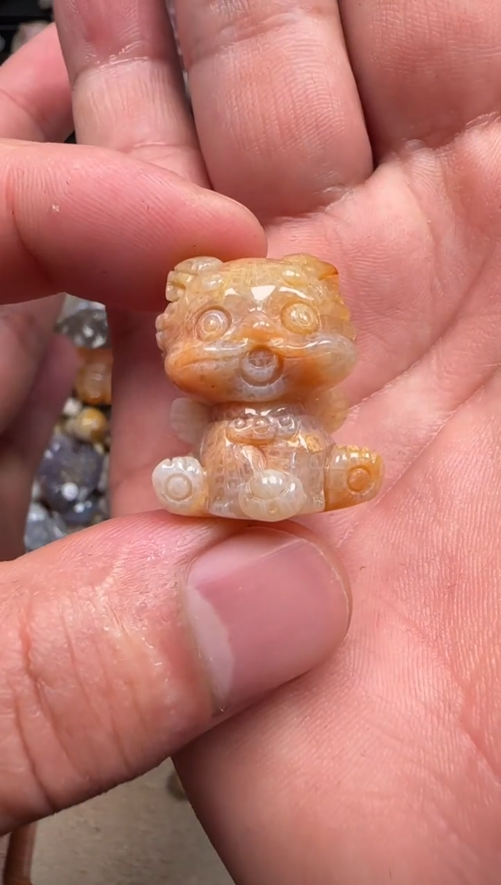 【闪购商品】硅化珊瑚（珊瑚玉）颈饰未镶嵌241