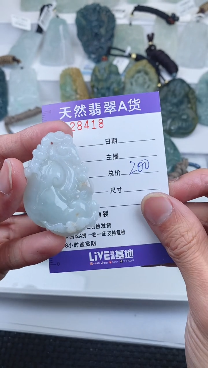【闪购商品】翡翠颈饰未镶嵌      418