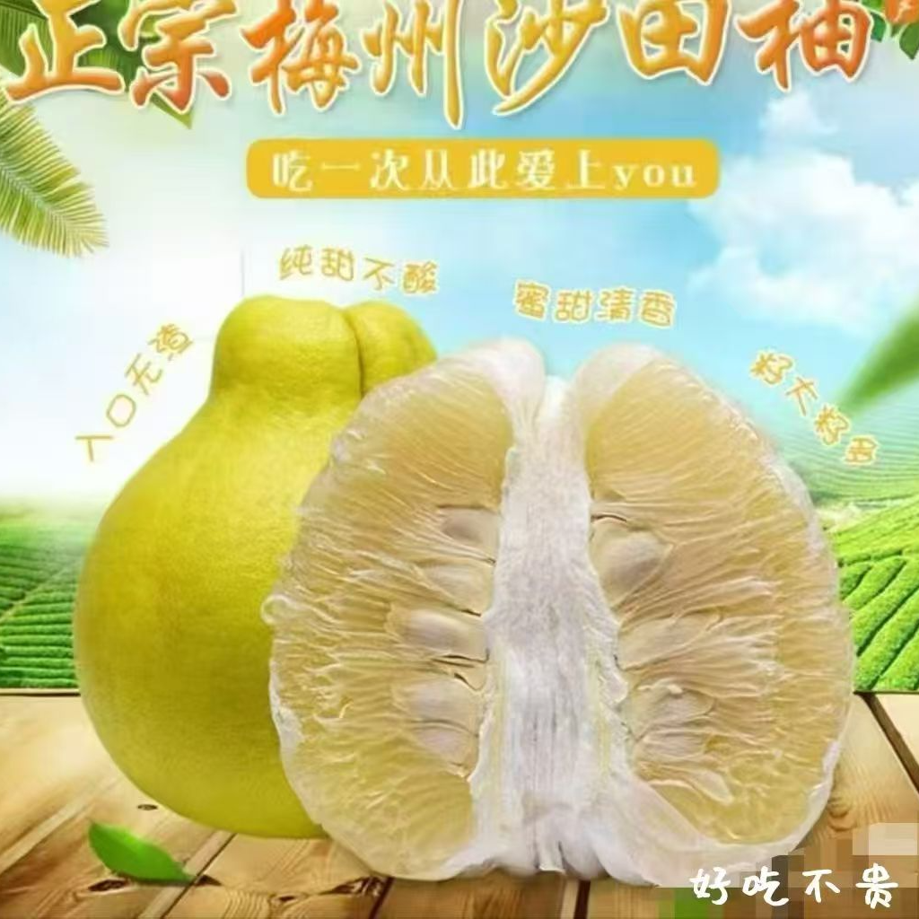 梅州正宗沙田柚无酸白心小果新鲜水果