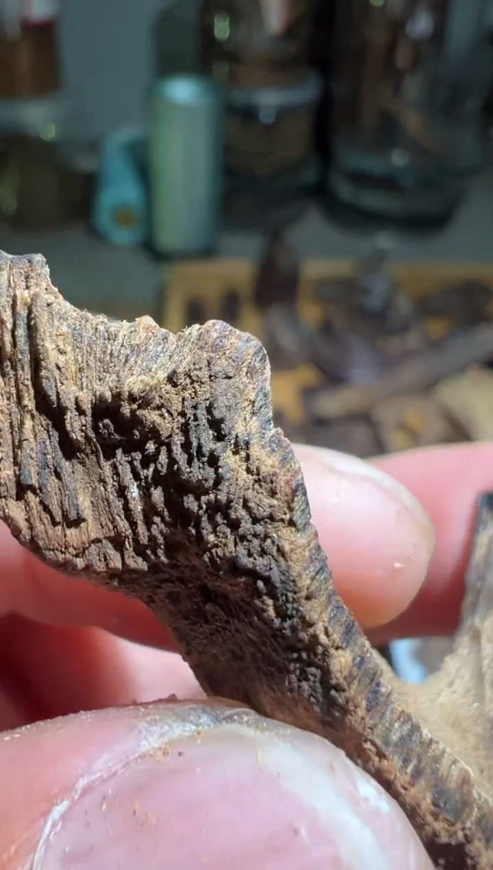 【闪购商品】沉香沉香碎屑加里曼丹3.8克