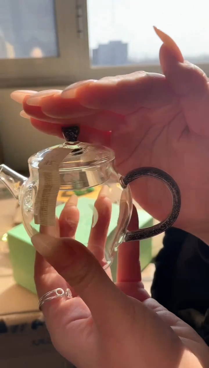 【闪购商品】九河星隐壶洪金把手