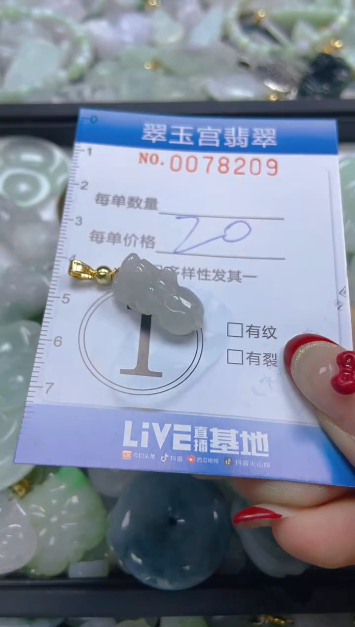 【闪购商品】翡翠颈饰未镶嵌闪购0078209