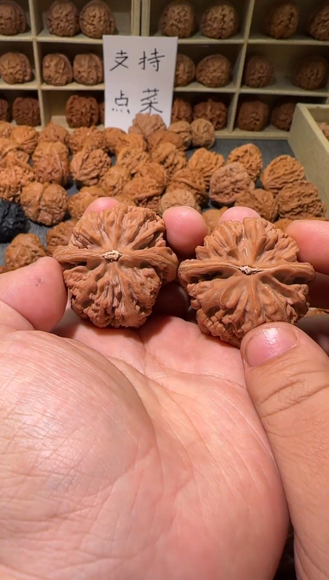 把件文玩核桃44尺红皮高庄粗筋