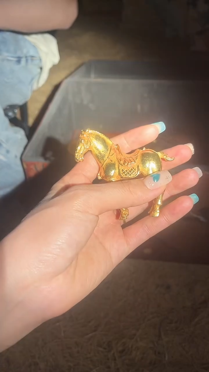 【闪购商品】【闪购商品】黄色小马