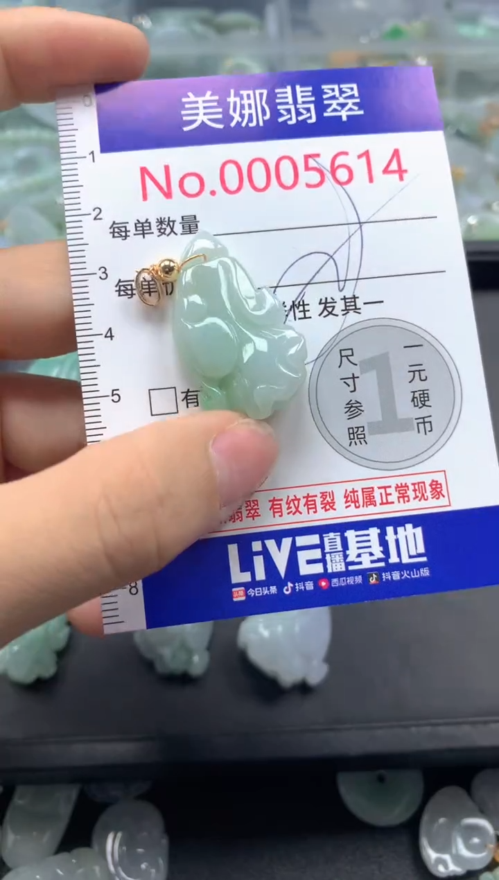 颈饰未镶嵌翡翠5614