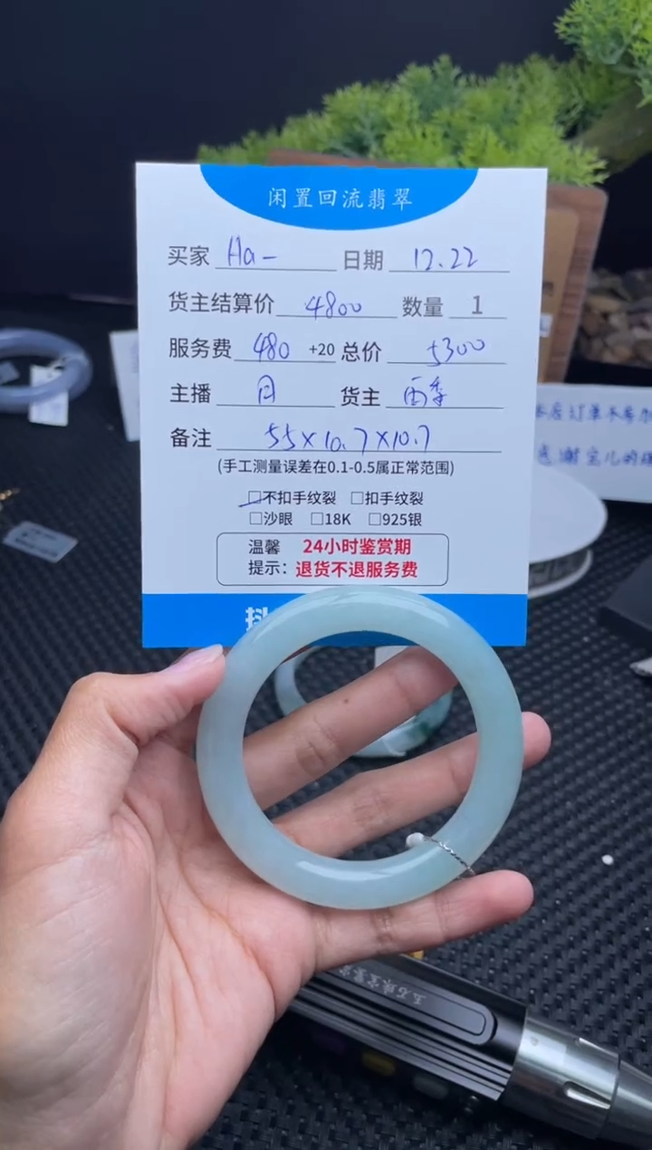 未镶嵌手镯翡翠H****a手镯