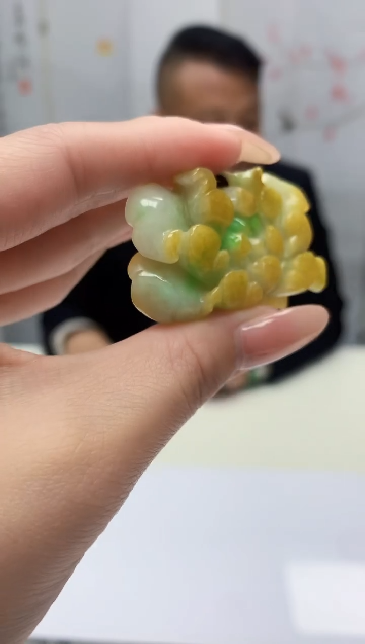 【闪购商品】定制翡翠未镶嵌4969jj-毛货挂件24