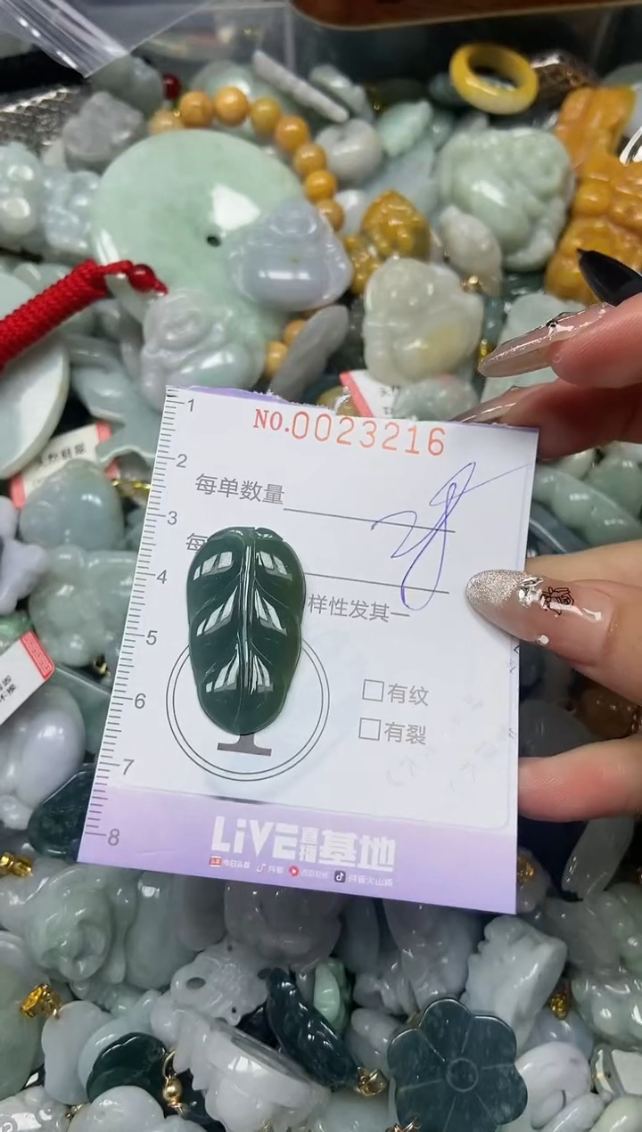 【闪购商品】翡翠颈饰未镶嵌闪购0023216