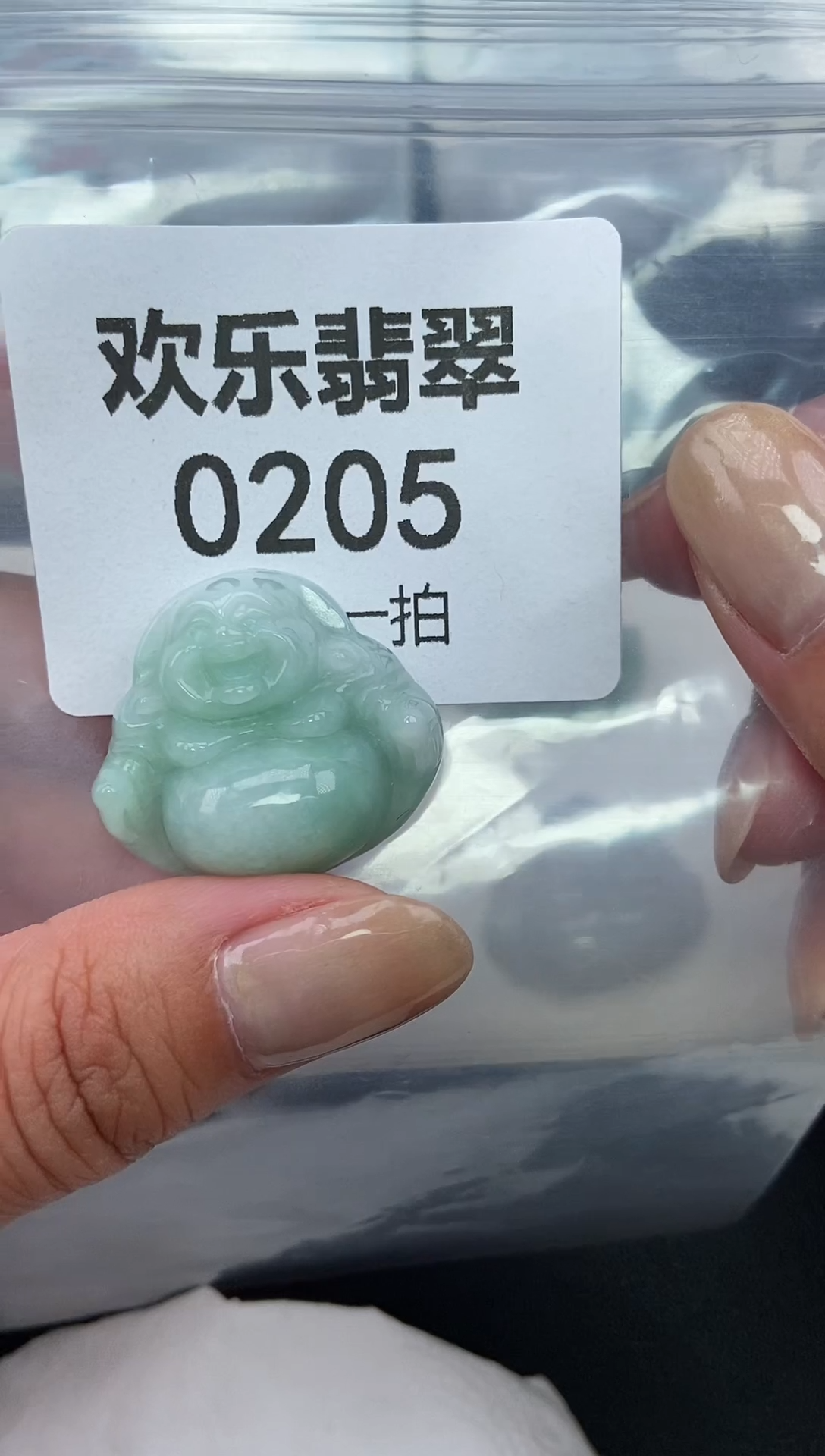 颈饰未镶嵌翡翠缅甸天然翡翠0205