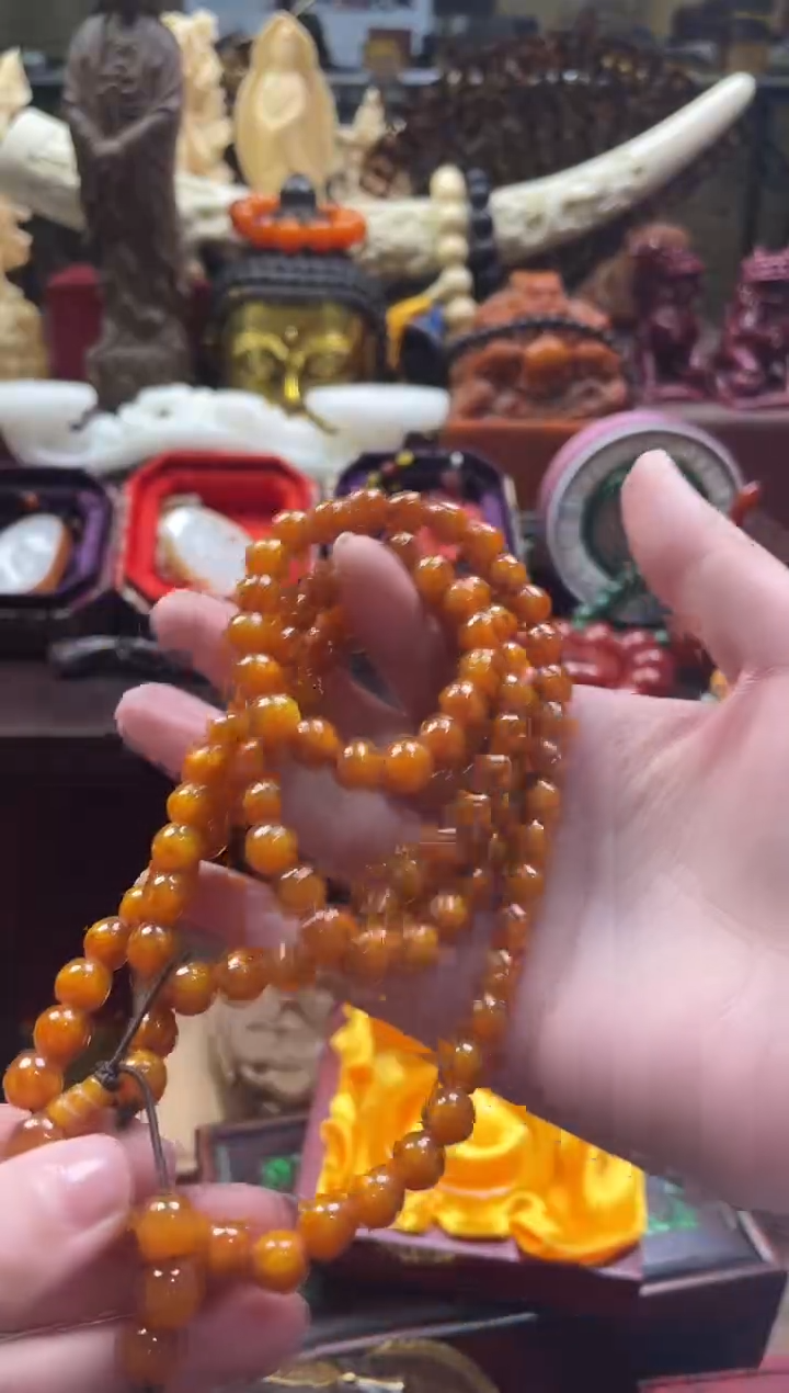 【闪购商品】一一一一一一海柳108