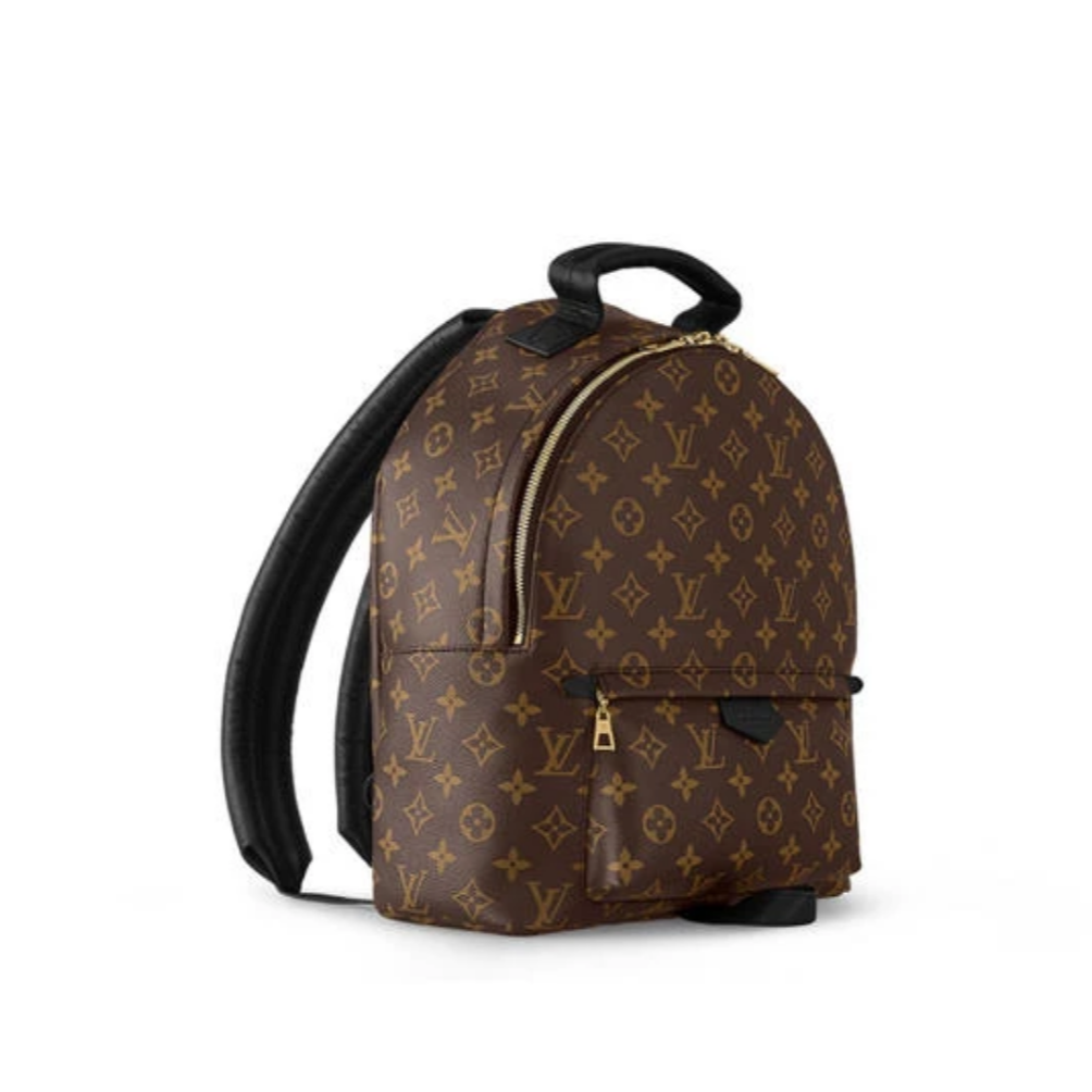 99新 LouisVuitton/路易威登 悠悠/中号书包/老花双肩包