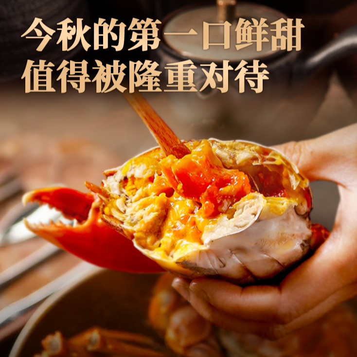 蟹师会王昊洋专属【公母搭配活蟹】2.5两母3.5两公/3两母4两公（4对）