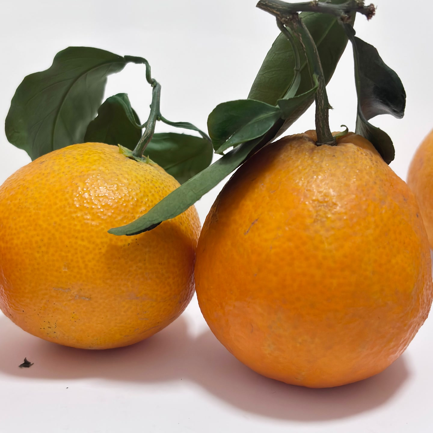 四川爱媛38号果冻橙新鲜8甜2酸（箱子未满 斤数足）