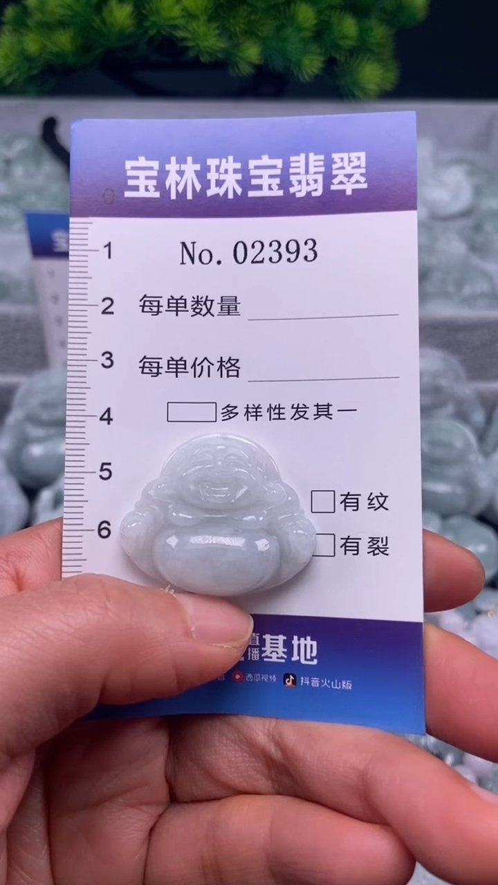 颈饰未镶嵌翡翠天然缅甸翡翠2393