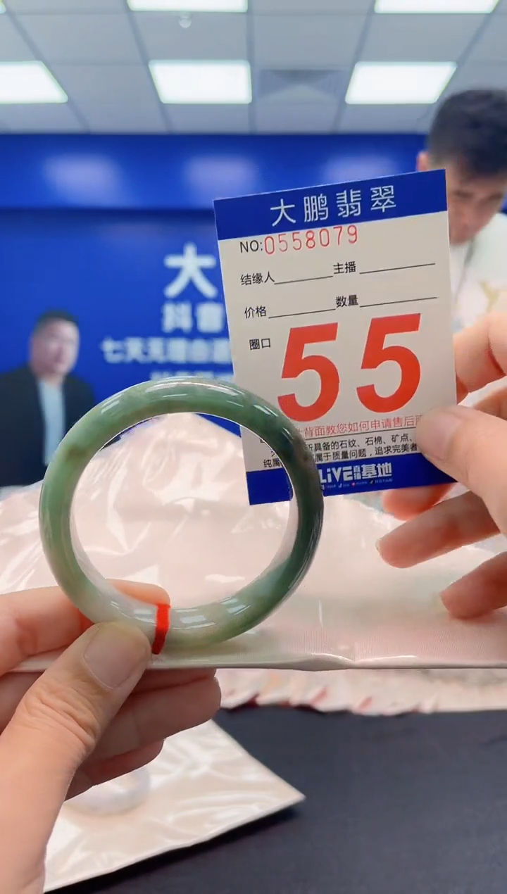未镶嵌手镯翡翠AAAAAAAAA