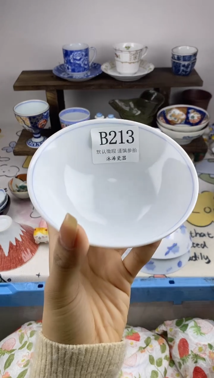 瓷片贝*βB      213