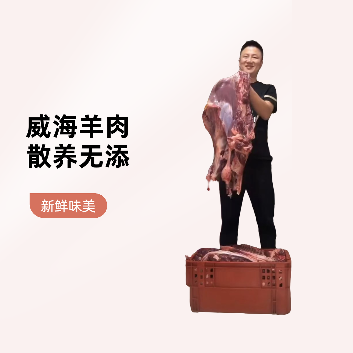 【威海同城】【现称链接】【本地散养】无水无胶跑山羊3斤起送