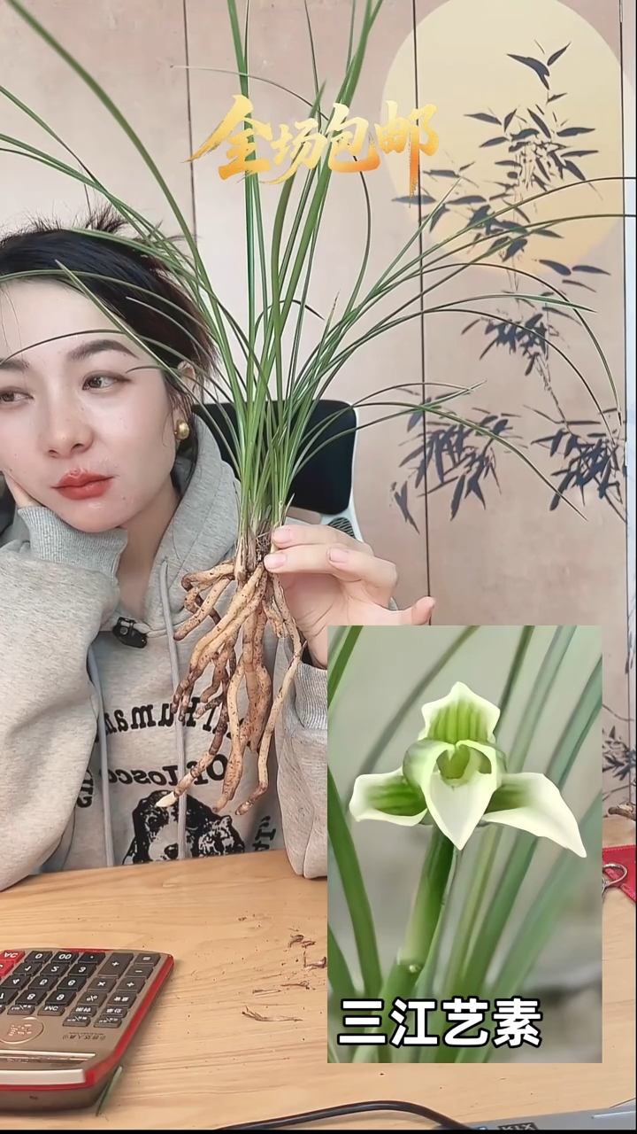 当前无花栽培后可以开花：三江艺素