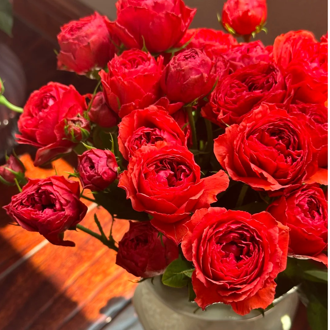 多红，多头玫瑰，1单冷链包邮，2单升级京东或者顺丰，远的发德邦