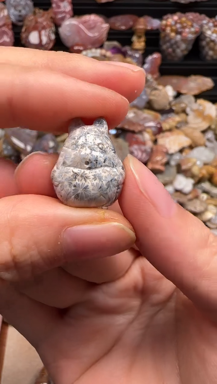 【闪购商品】硅化珊瑚（珊瑚玉）颈饰未镶嵌161