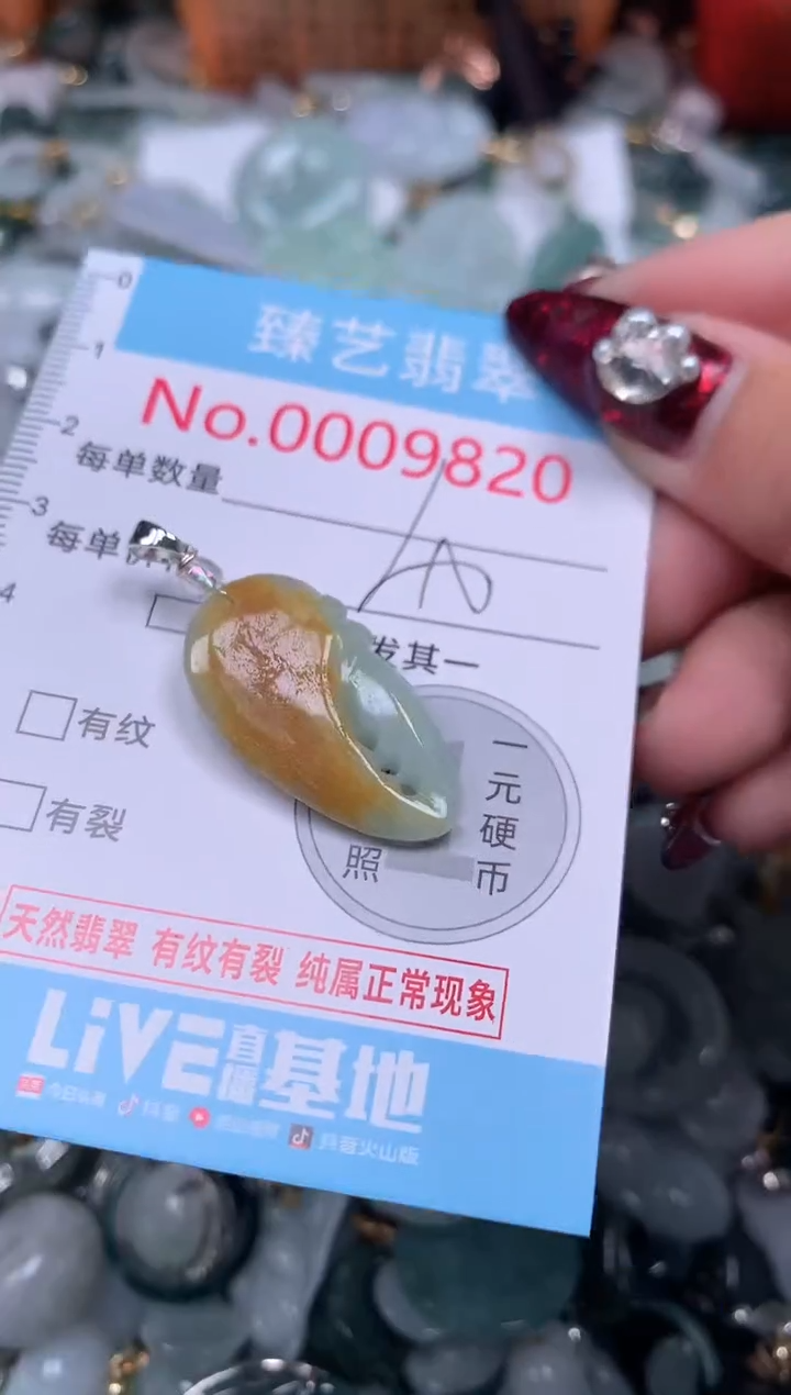 颈饰未镶嵌翡翠9820