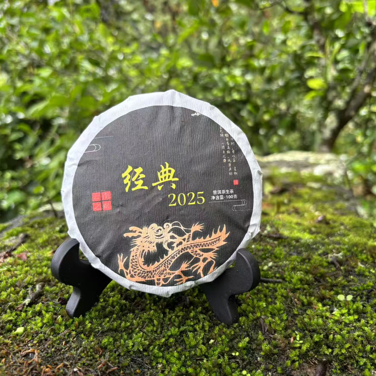 【组长严选】经典2025头春头采古树