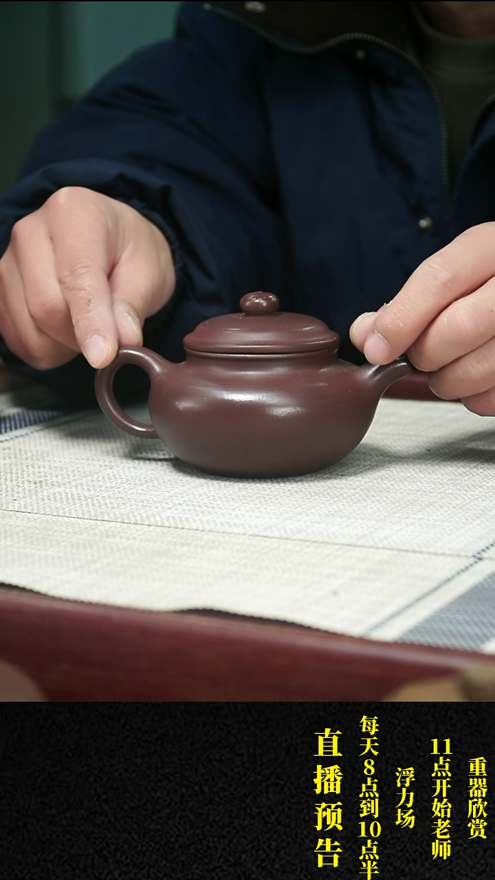 【闪购商品】紫砂茶壶 紫砂 茶壶11