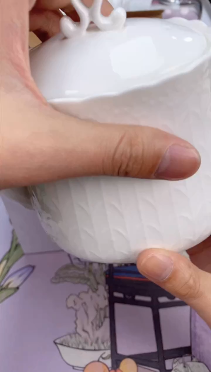 【闪购商品】瓷片都是我的大宝贝呀