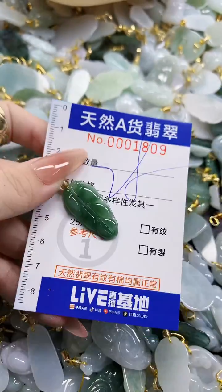 颈饰未镶嵌翡翠天然A货翡翠