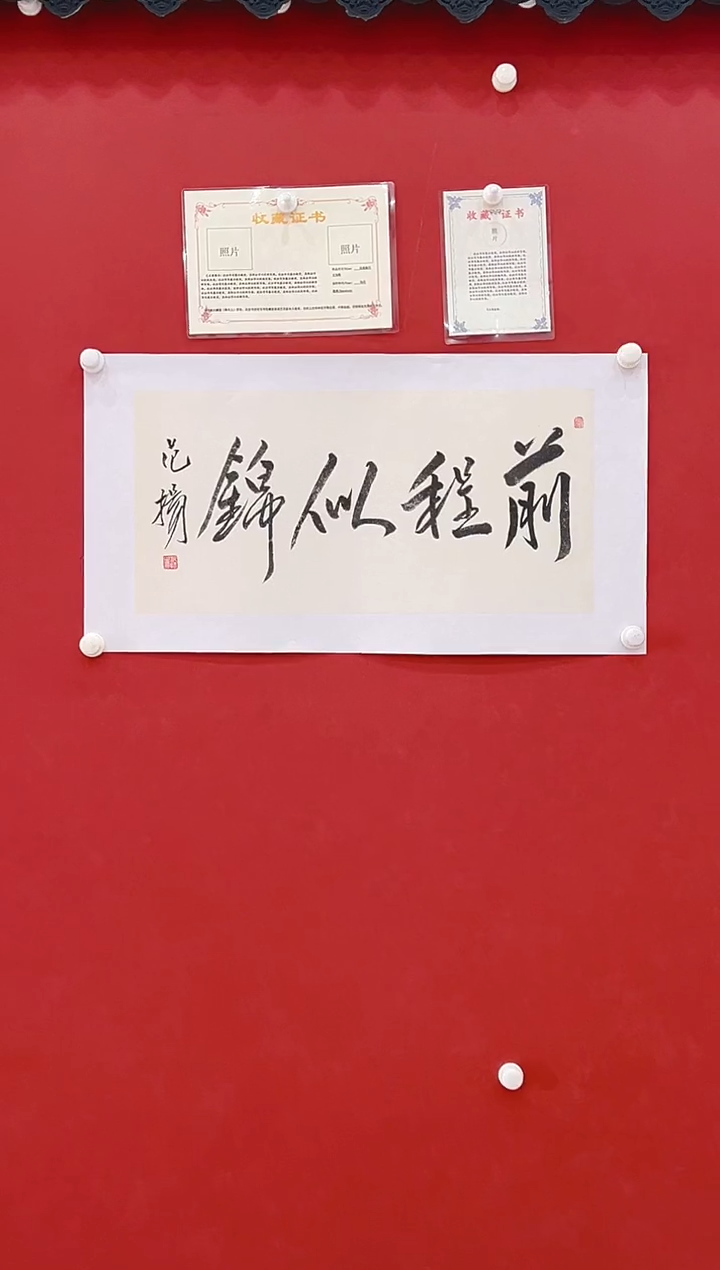 【闪购商品】书法范       书法     2平尺 