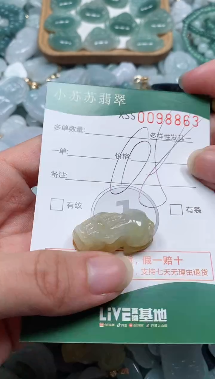 【闪购商品】翡翠颈饰未镶嵌闪购商品0098863