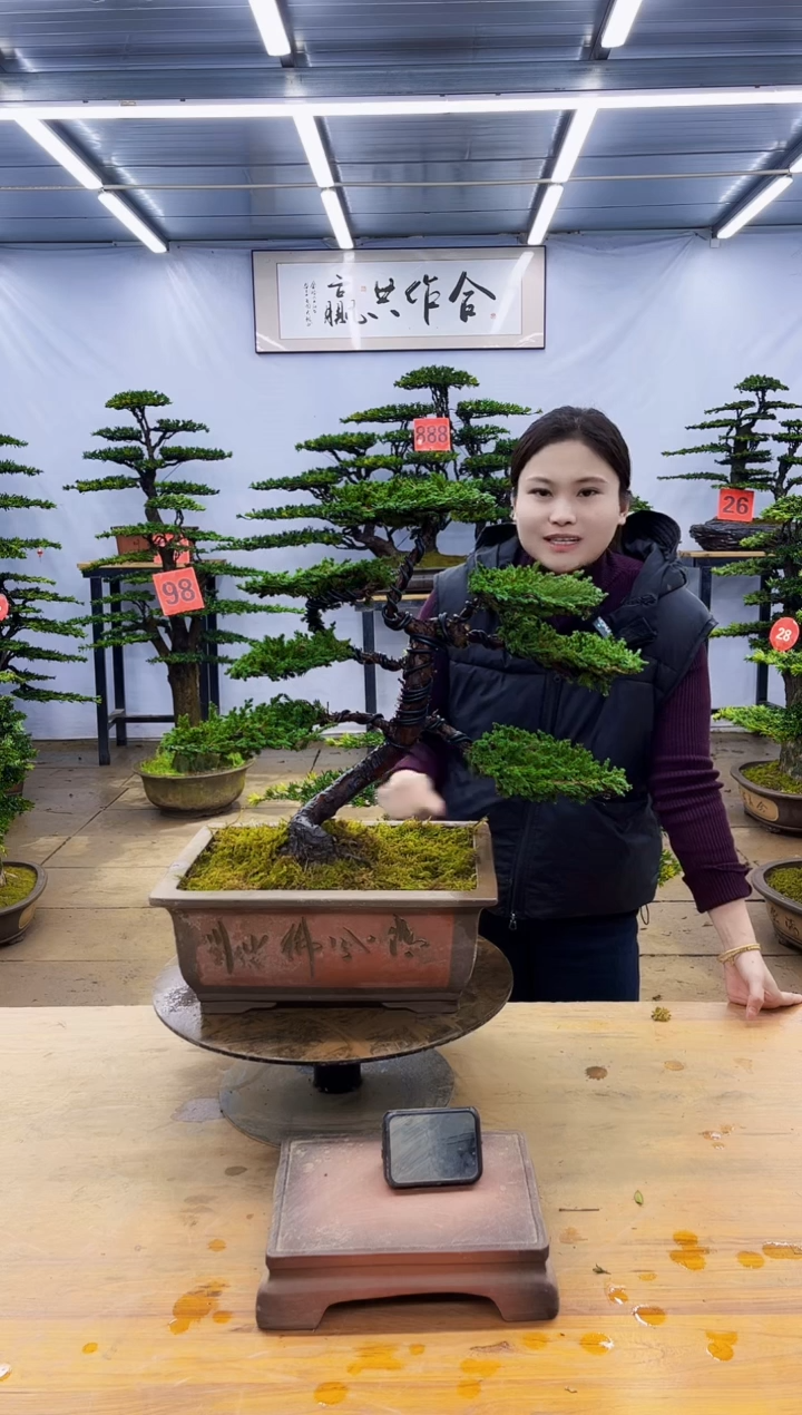 【闪购商品】一物一拍，所见即所得