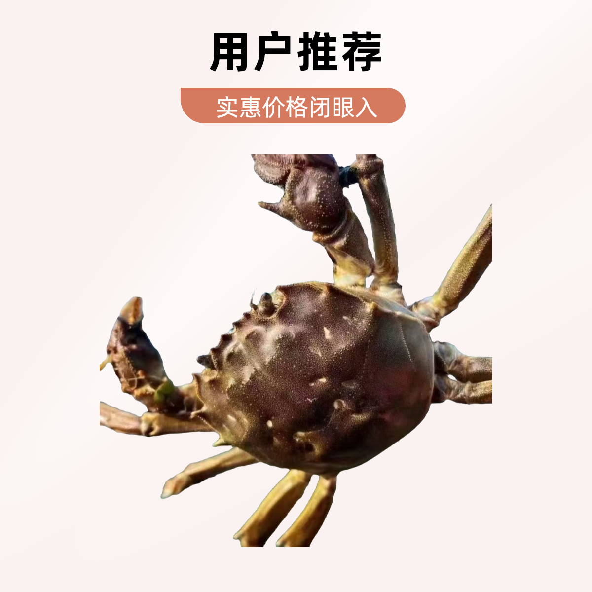 【活蟹】江苏洪泽湖河蟹母蟹0.8两-1.0两 公蟹0.8两-1.0两。2.5斤装30只公母对半 包邮 闲小勿拍