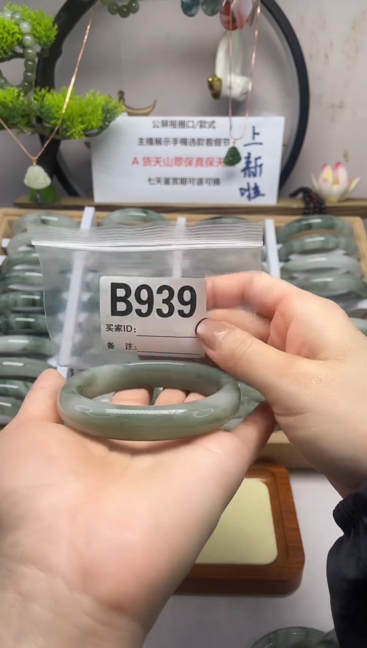 【闪购商品】石英质玉（天山翠）手镯未镶嵌b939
