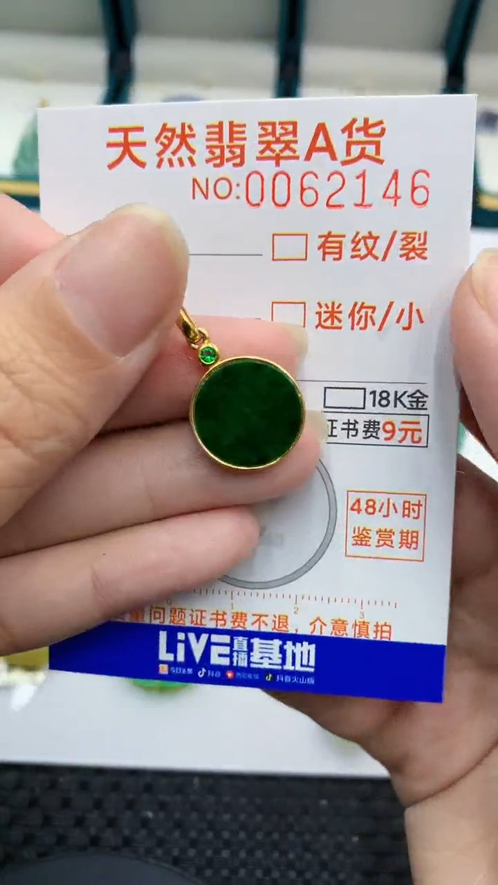 【闪购商品】翡翠颈饰银S925镶嵌            8