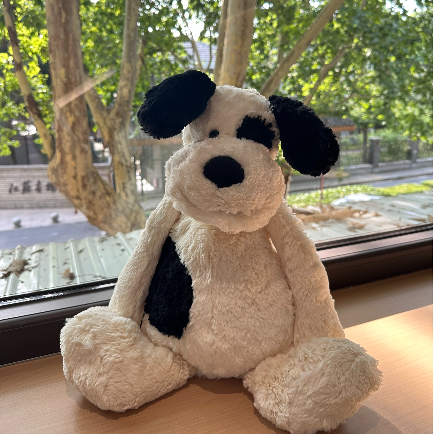 海盗斑点狗玩偶晚安小狗狗毛绒玩具公仔儿童安抚玩具送人送礼七夕