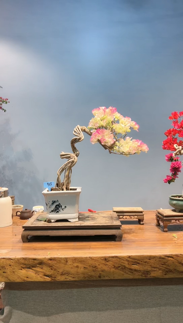 【闪购商品】AA905