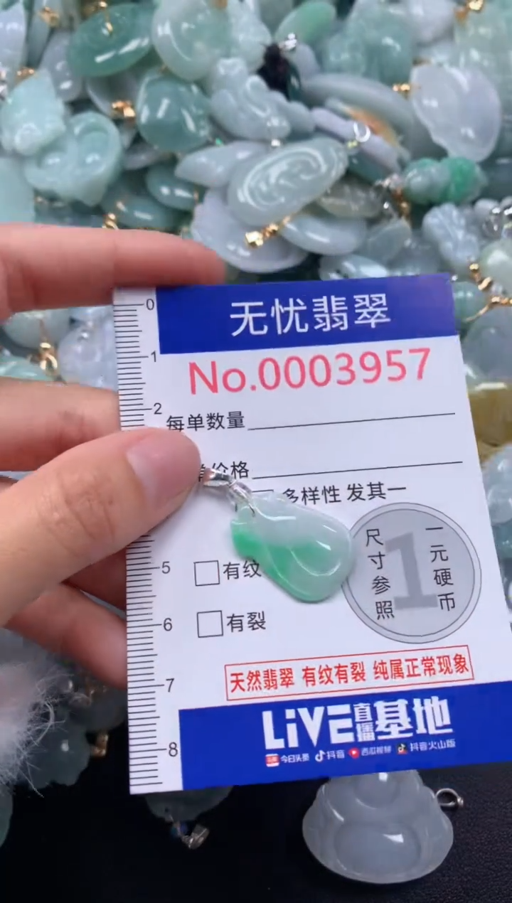 颈饰未镶嵌翡翠3957