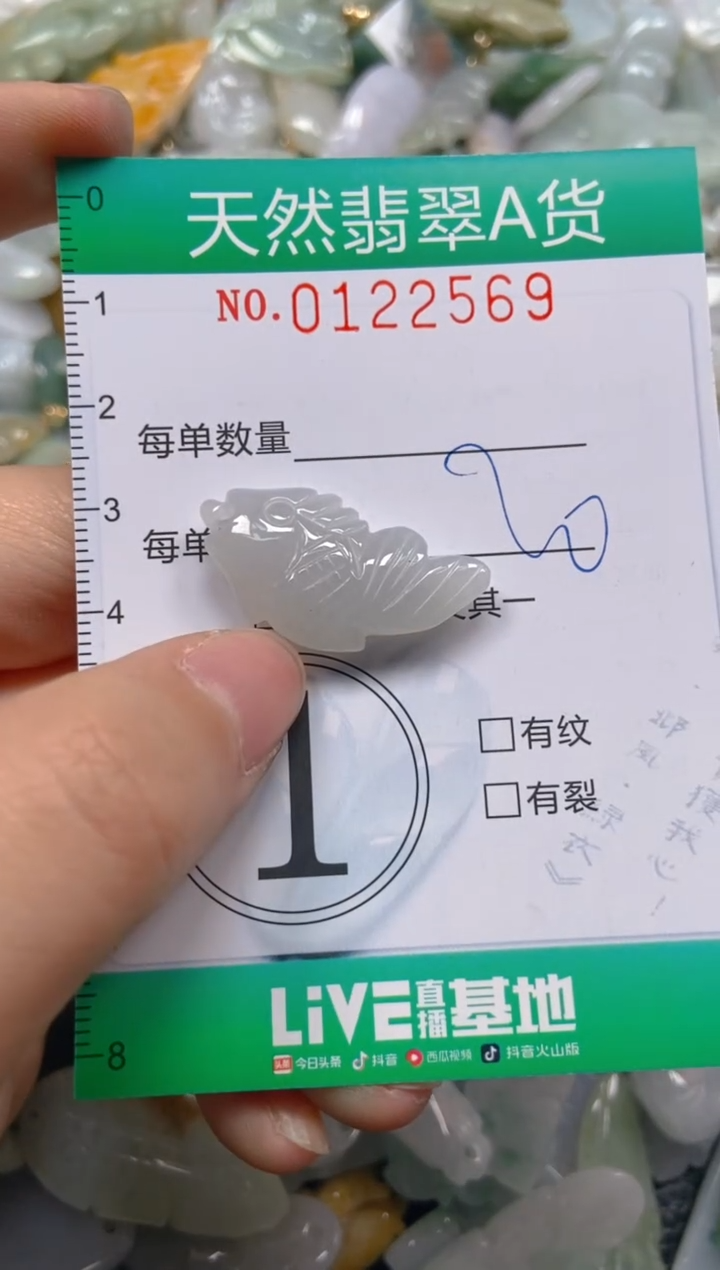 翡翠未镶嵌颈饰闪购0122569