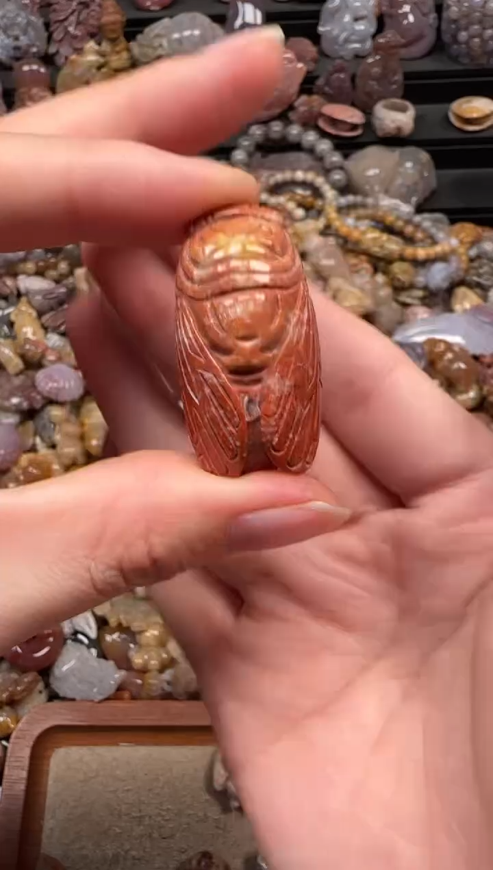 颈饰未镶嵌硅化珊瑚（珊瑚玉）134