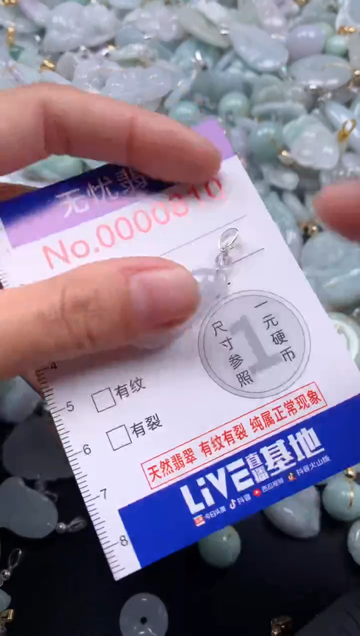 颈饰未镶嵌翡翠810