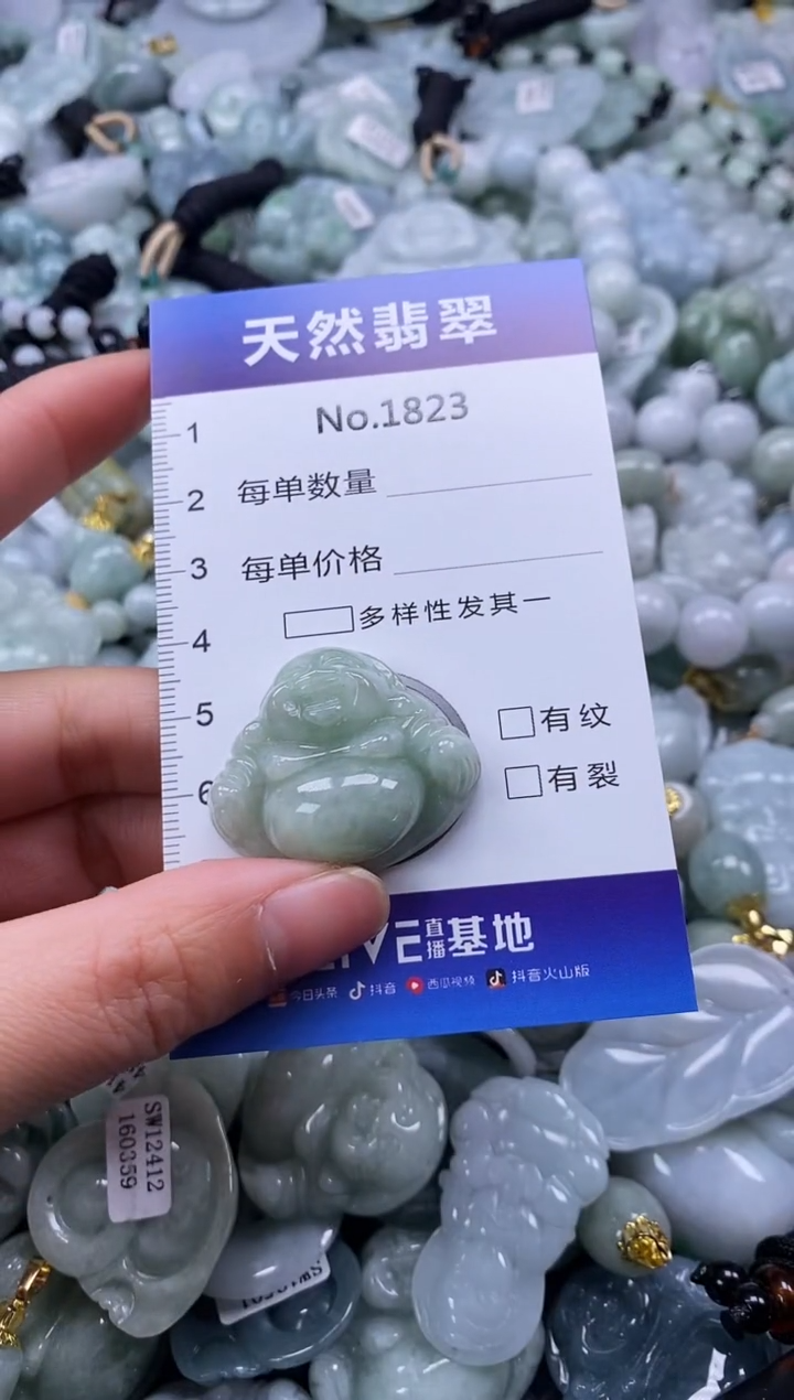 【闪购商品】翡翠颈饰未镶嵌缅甸A货翡翠1823