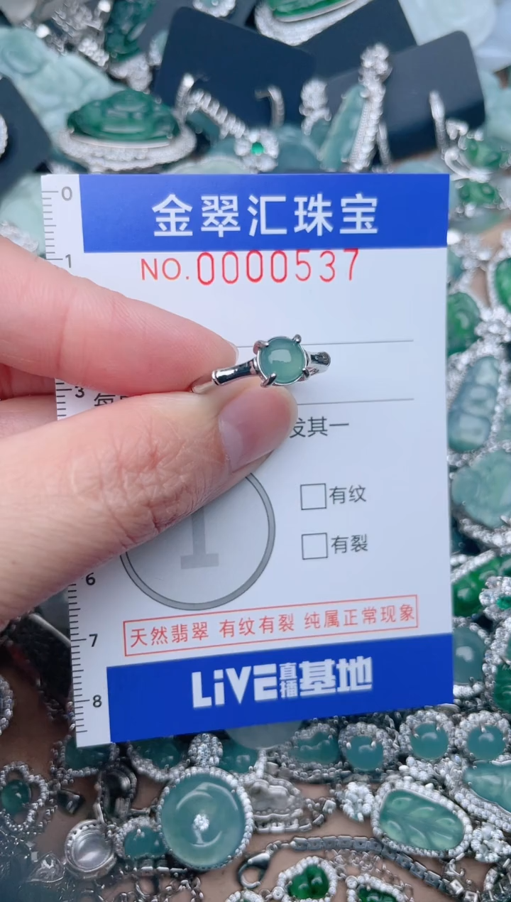 【闪购商品】翡翠颈饰未镶嵌537....1