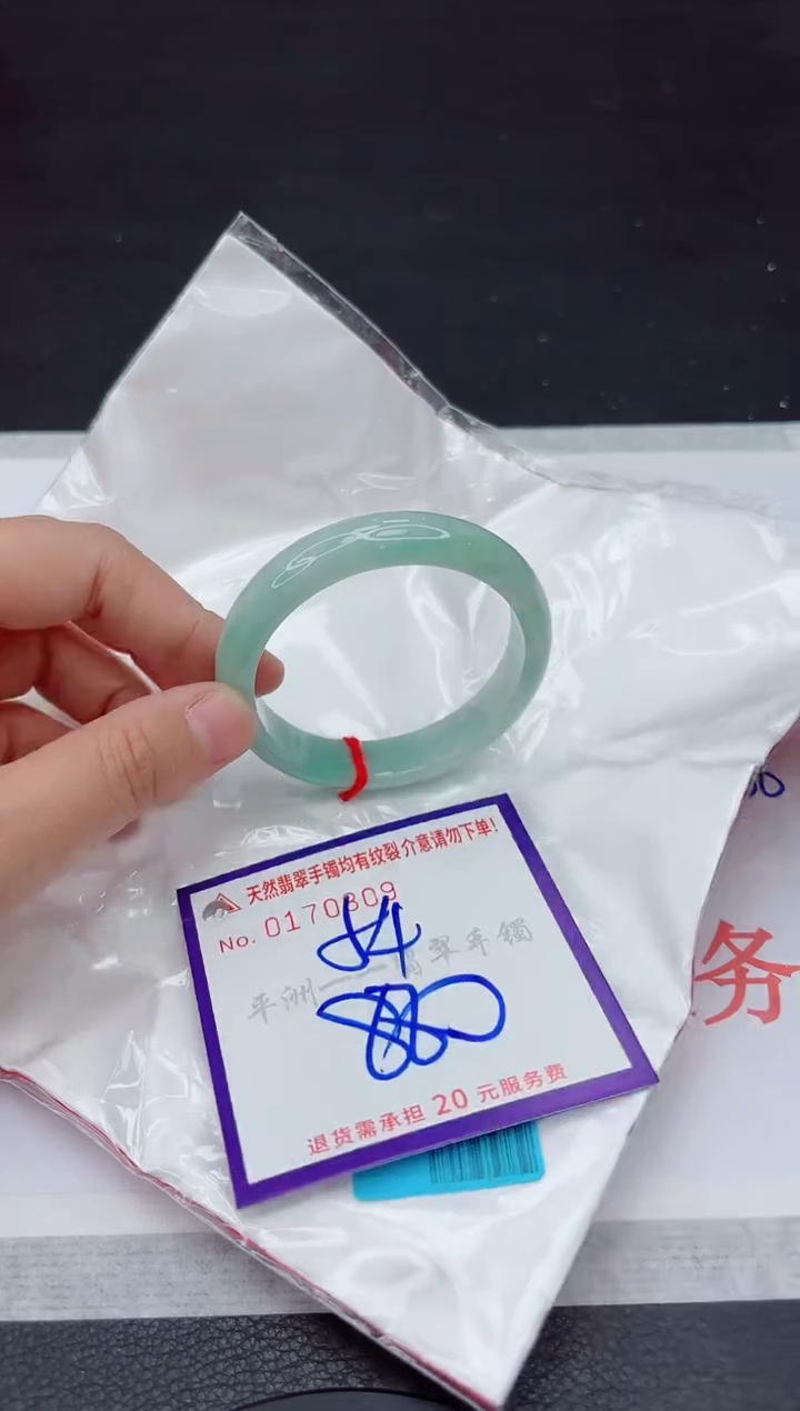 未镶嵌手镯翡翠111111