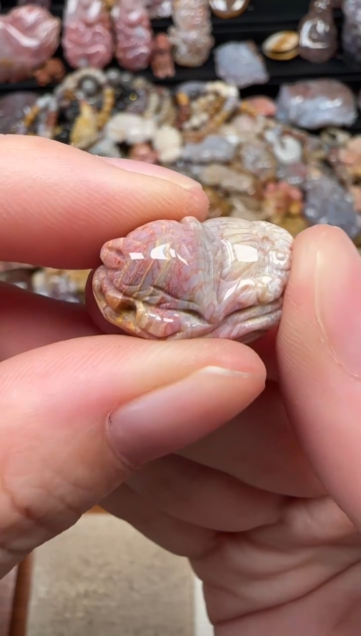 颈饰未镶嵌硅化珊瑚（珊瑚玉）568