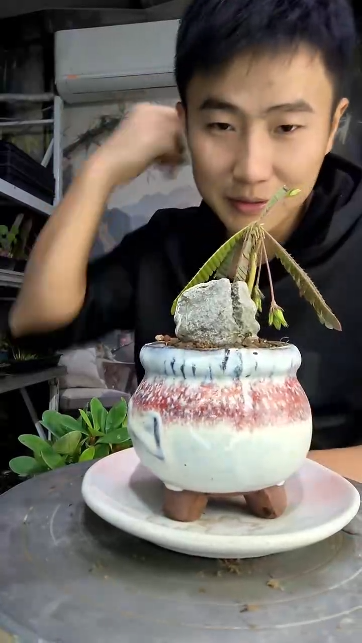 徐*?中青园艺一物一拍181