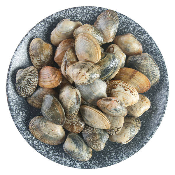 鲜活福建净化小花蛤 350g