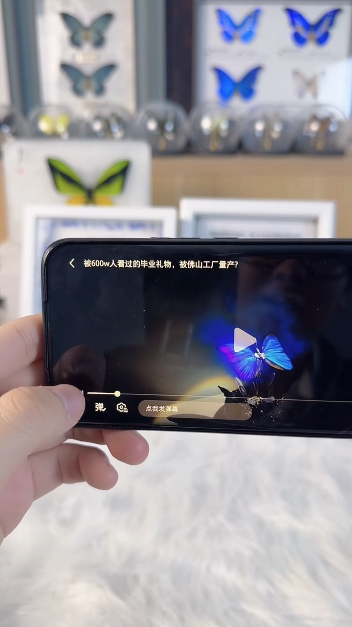 真实蝴蝶标本装框品 机械