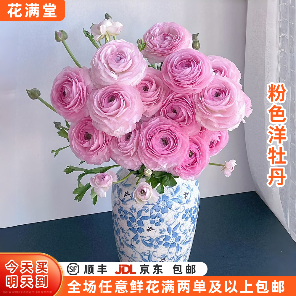 特价【次日达·粉色洋牡丹】粉色洋牡丹·鲜切花·生活鲜花·两单鲜花顺丰包邮基地直发·鲜切花批发·洋牡丹