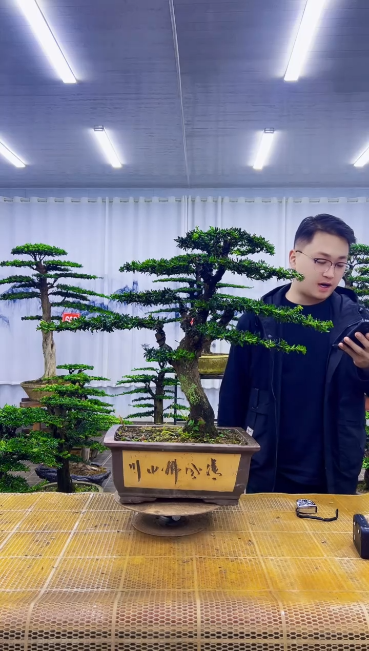 无花朵本****己000000000000000